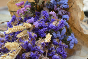 fisiki lampsi me xeiropoiiti syntagi levantas